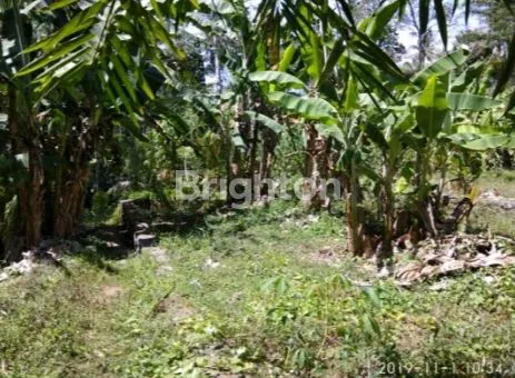 image DIJUAL TANAH KOSONG MENGWI BADUNG (2)