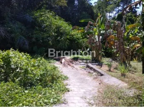 image DIJUAL TANAH KOSONG MENGWI BADUNG (1)