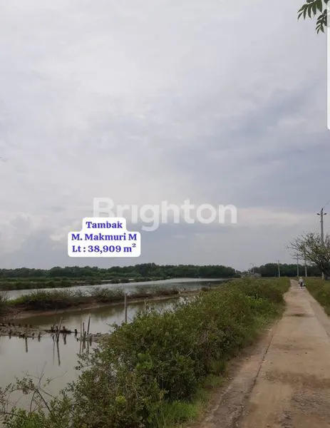 DIJUAL TANAH EX TAMBAK DI DESA TAMBAK, BULUSAN, DEMAK