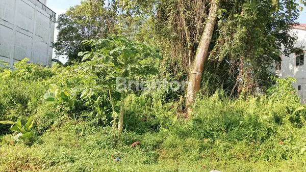 image TANAH KOMERSIAL SIMPANG BUNDARAN AMBAWANG (1)