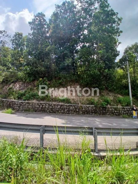 image DIJUAL LAHAN LUAS (7)