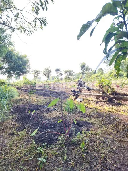 image TANAH LUAS DAN STRATEGIS DI LOWOKWARU, MALANG (2)