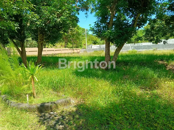 image TANAH KAVLING PREMIUM DI GOA GONG, JIMBARAN - INVESTASI JANGKA PANJANG (4)