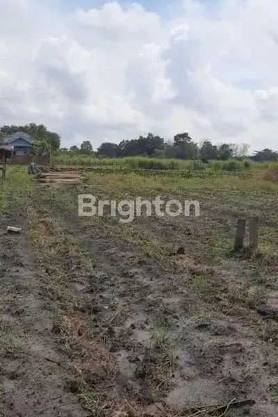 TANAH MURAH SEJAGAT RAYA