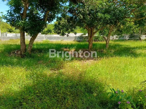 image TANAH KAVLING PREMIUM DI GOA GONG, JIMBARAN - INVESTASI JANGKA PANJANG (7)