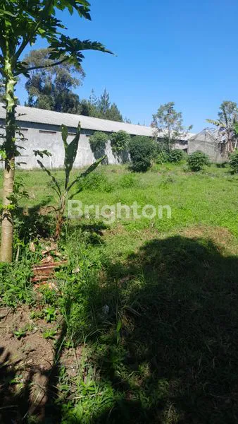 image TANAH LUAS DAN STRATEGIS DI LEMBANG, BANDUNG BARAT (6)