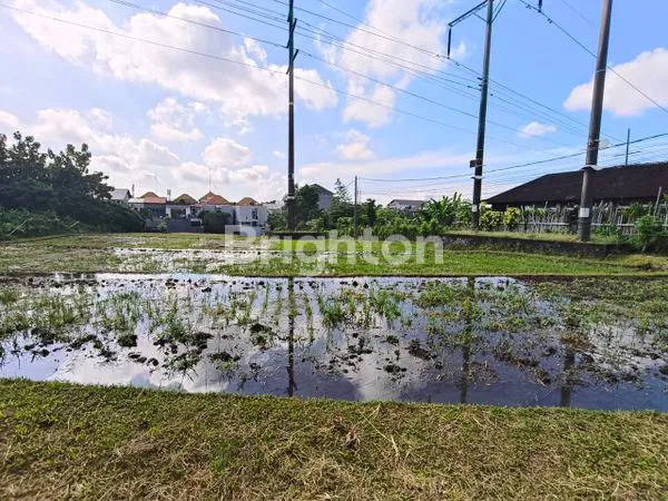 image TANAH DI MUDU TAKI (2)