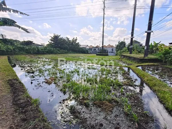 image TANAH DI MUDU TAKI (1)