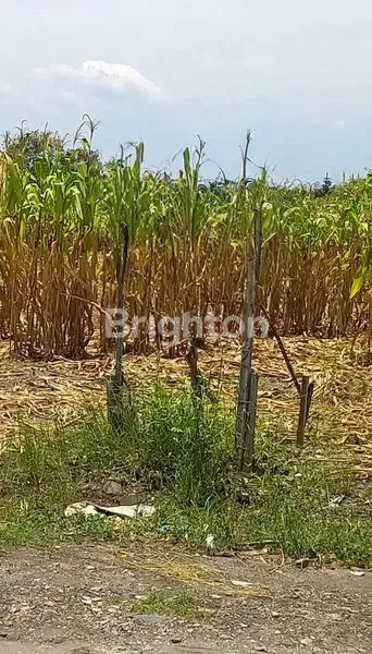 Gambar Property JUAL TANAH PERBATASAN SURABAYA - GRESIK