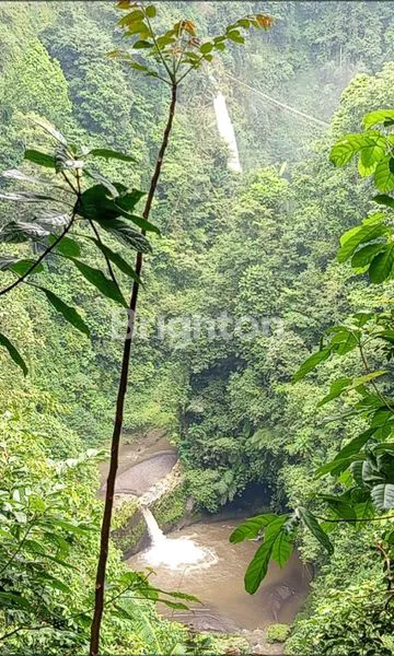 image TANAH VIEW AIR TERJUN DI BULELENG - BALI (1)