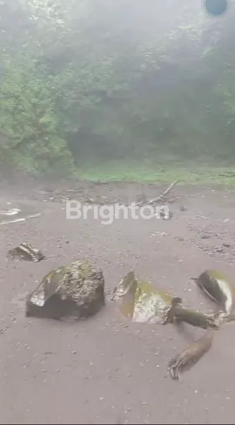 image TANAH VIEW AIR TERJUN DI BULELENG - BALI (5)