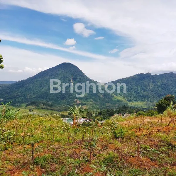 image DI JUAL TANAH DI SENTUL BOGOR  COCOK UNTUK HOTEL  (1)