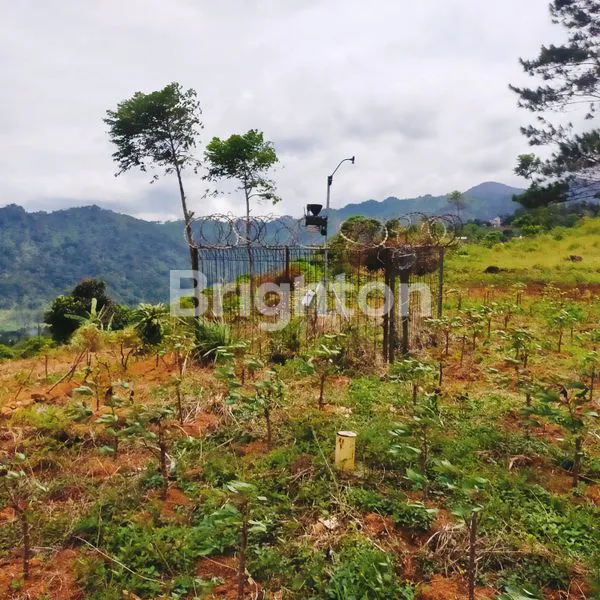 image DI JUAL TANAH DI SENTUL BOGOR  COCOK UNTUK HOTEL  (7)