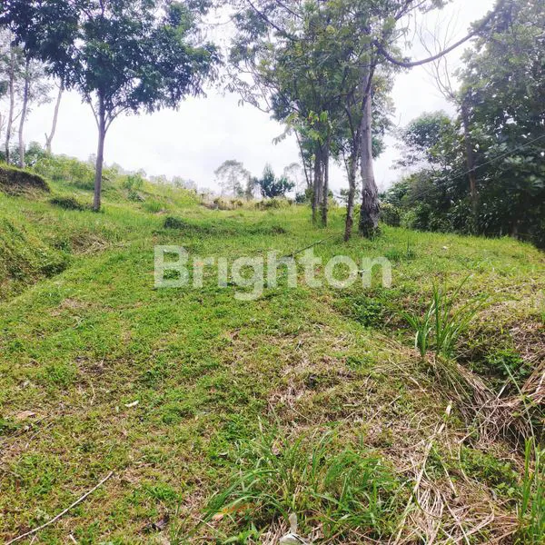 image DI JUAL TANAH DI SENTUL BOGOR  COCOK UNTUK HOTEL  (3)