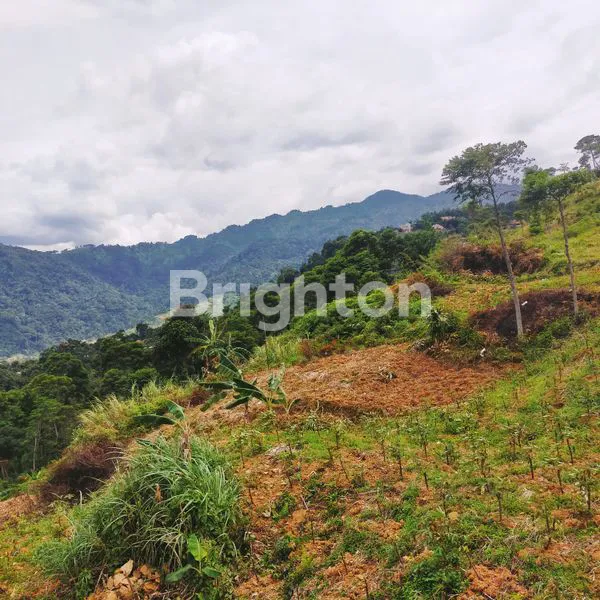 image DI JUAL TANAH DI SENTUL BOGOR  COCOK UNTUK HOTEL  (5)