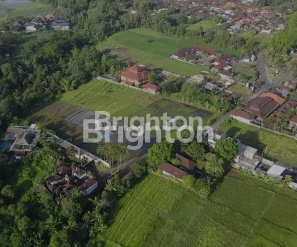 image TANAH DI BUWIT TABANAN BALI LUAS 42 ARE LEASEHOLD 30+10 TH (2)