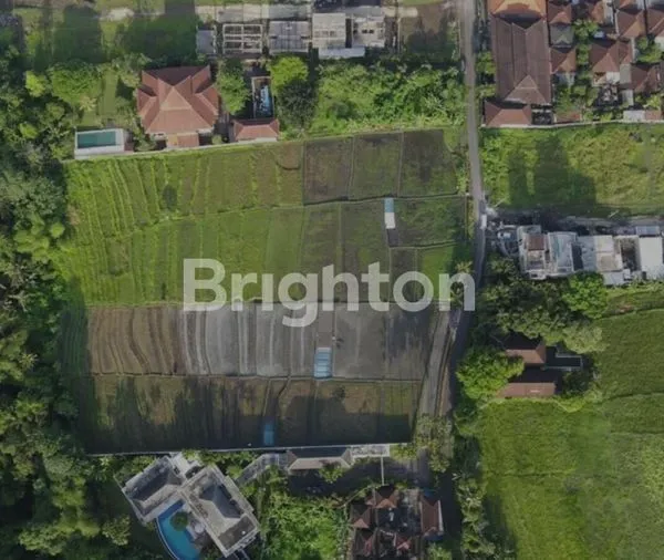 image TANAH DI BUWIT TABANAN BALI LUAS 42 ARE LEASEHOLD 30+10 TH (3)