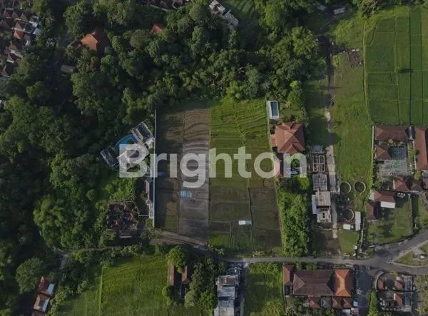 image TANAH DI BUWIT TABANAN BALI LUAS 42 ARE LEASEHOLD 30+10 TH (5)