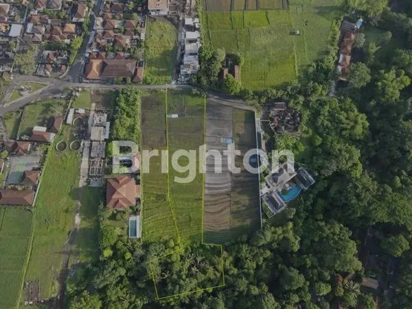 image TANAH DI BUWIT TABANAN BALI LUAS 42 ARE LEASEHOLD 30+10 TH (6)