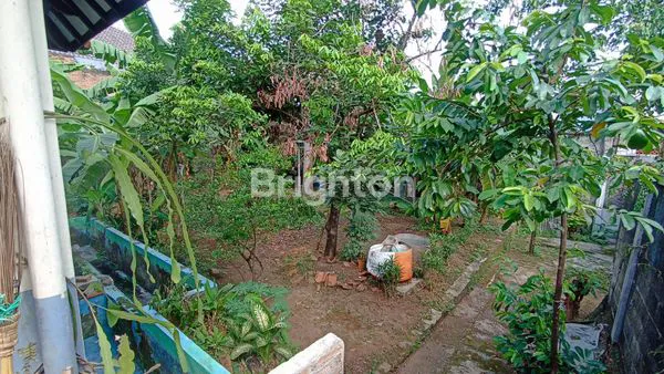 image RUMAH SANGAT STRATEGIS DAN LUAS DI KLAPADUA  (7)