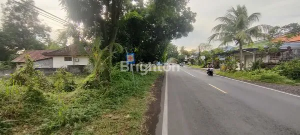 image TANAH MURAH DEKAT PANTAI DI JALAN UTAMA SEIRIT-GILIMANUK (2)
