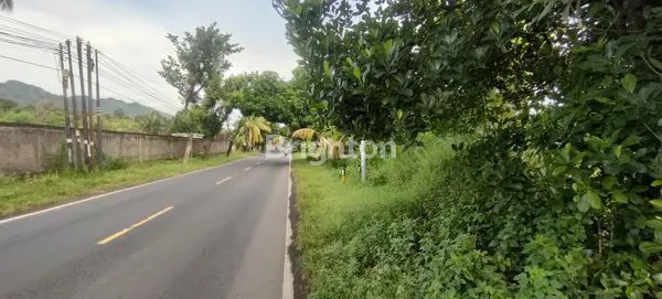 image TANAH MURAH DEKAT PANTAI DI JALAN UTAMA SEIRIT-GILIMANUK (3)