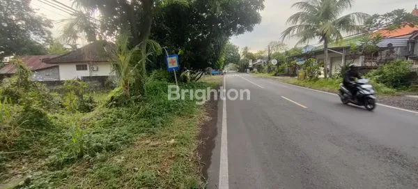 image TANAH MURAH DEKAT PANTAI DI JALAN UTAMA SEIRIT-GILIMANUK (5)