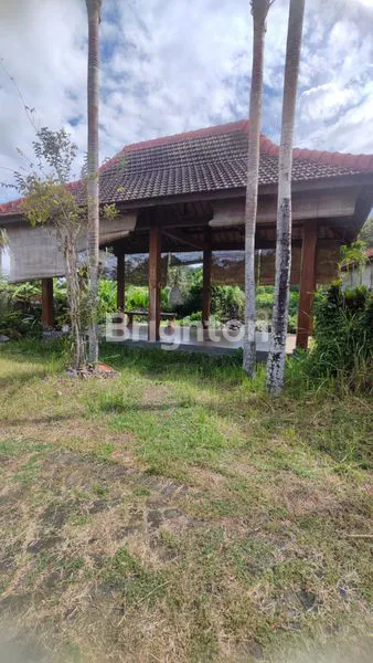 LAHAN LUAS TENGAH KOTA