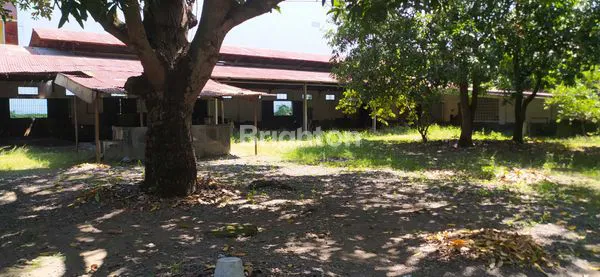 image TANAH LUAS DAN GUDANG STRATEGIS DI PANTURA TEGAL  (3)