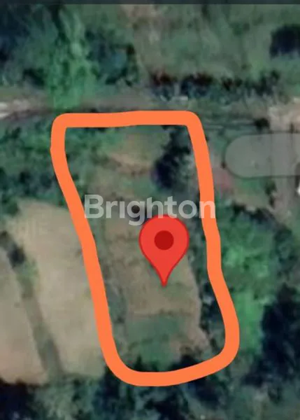 DI JUAL TANAH DI BEDUGUL SEKITAR AREA WISATA