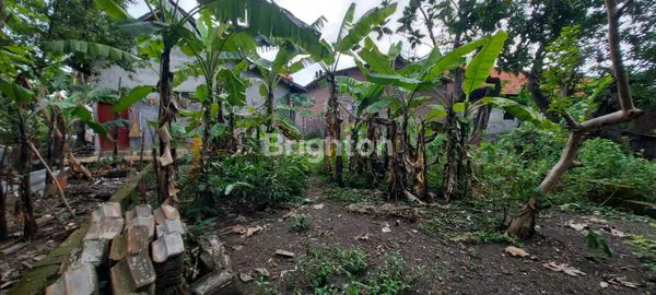 image TANAH TAMBAK WATU GOLONG (2)