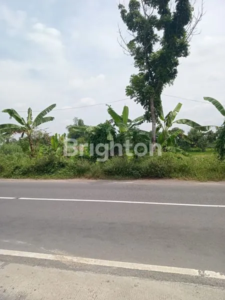 JUAL TANAH INDUSTRI PELANG LAMONGAN