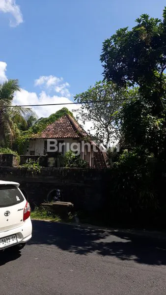 image TANAH BONUS RUMAH SINGAPADU (5)