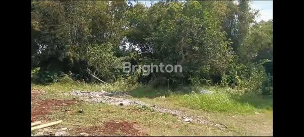 image KAVLING STRATEGIS UNGASAN DEKAT PANTAI MELASTI (2)