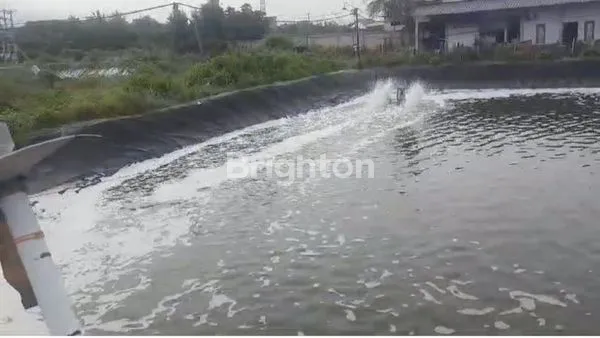 image TAMBAK AKTIF PRODUKTIF DENGAN LUAS 20.000 METER DI BARRU MAKASAR (5)