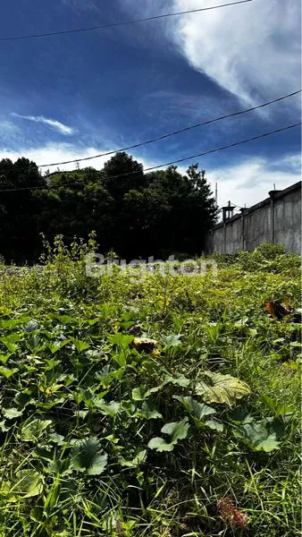 image TANAH DI JUAL BERLOKASI DI NUSA DUA (3)
