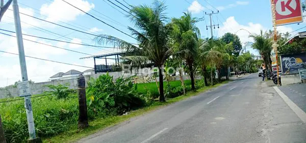 image TANAH DI PERERENAN AREA YANG TENANG DAN DEKAT PANTAI, COCOK UNTUK DIBANGUN VILLA DAN RUMAH (3)