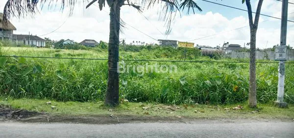 image TANAH DI PERERENAN AREA YANG TENANG DAN DEKAT PANTAI, COCOK UNTUK DIBANGUN VILLA DAN RUMAH (7)