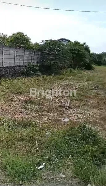 image TANAH RAYA KEDAMEAN NOLJALAN  GRESIK (1)