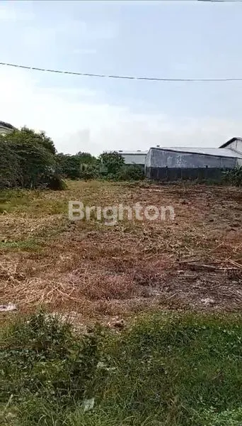 image TANAH RAYA KEDAMEAN NOLJALAN  GRESIK (2)