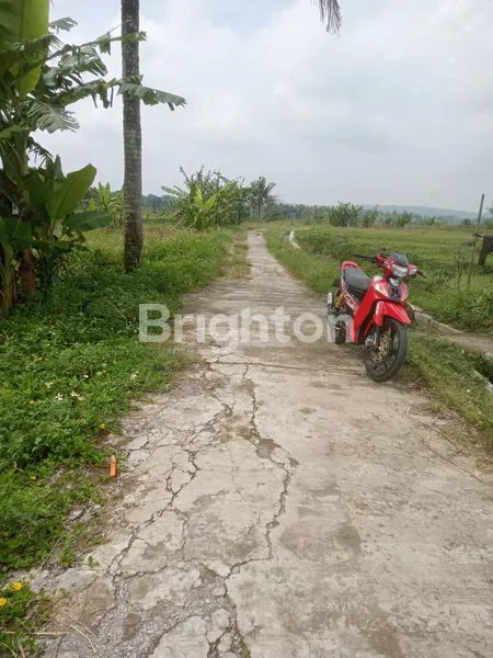 image DIJUAL LAHAN PERSAWAHAN DI DAERAH PABELAN (1)