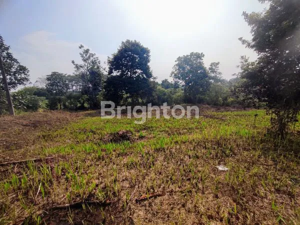 image TANAH KOSONG DI PERUMAHAN PARUNG HIJAU PONDOK UDIK, BOGOR (2)