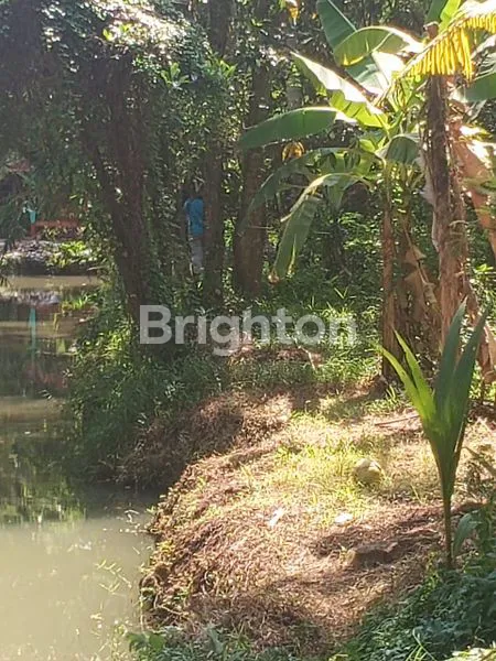 image TANAH PEKARANGAN LUAS & LEGALITAS AMAN DI KULONPROGO (1)