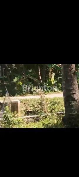 image TANAH PEKARANGAN LUAS & LEGALITAS AMAN DI KULONPROGO (2)