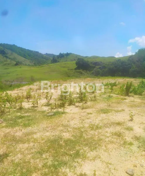 image LANGKA!!! LIMITED UNIT . TANAH DI LABUAN BAJO  @GOLO MORI DEKAT BUKIT SOMBRA (4)