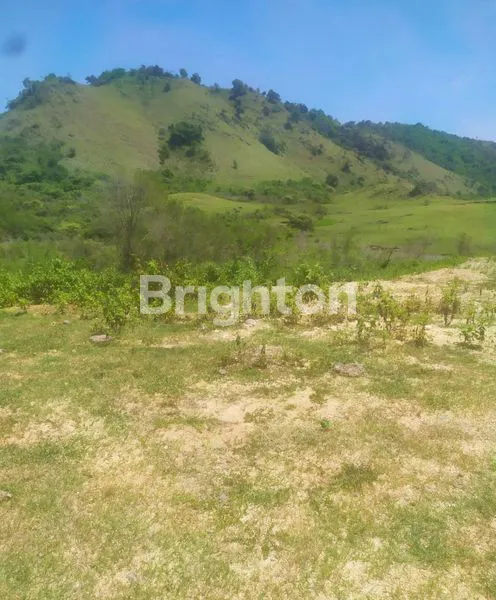 image LANGKA!!! LIMITED UNIT . TANAH DI LABUAN BAJO  @GOLO MORI DEKAT BUKIT SOMBRA (5)