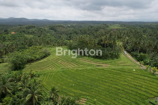 image TANAH SANGAT COCOK UNTUK INVESTASI DI SEKITAR CANGGU (1)