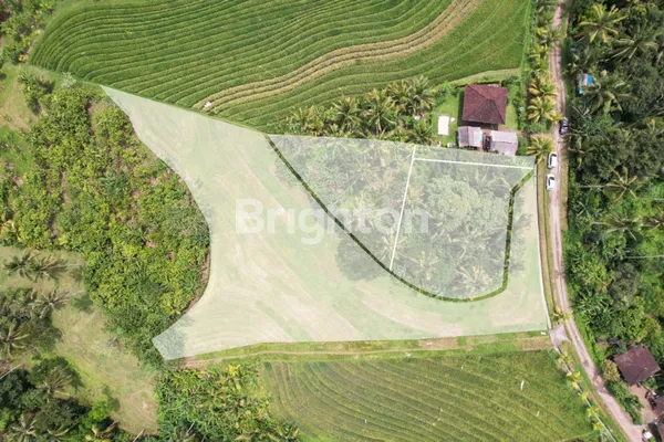 image TANAH SANGAT COCOK UNTUK INVESTASI DI SEKITAR CANGGU (2)