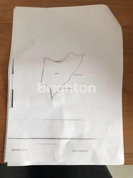 image TANAH ISI  KOPI DI PUPUAN TABANAN (5)