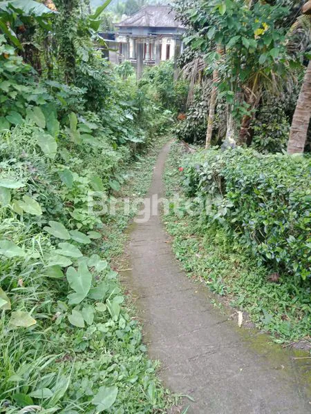image TANAH ISI  KOPI DI PUPUAN TABANAN (3)